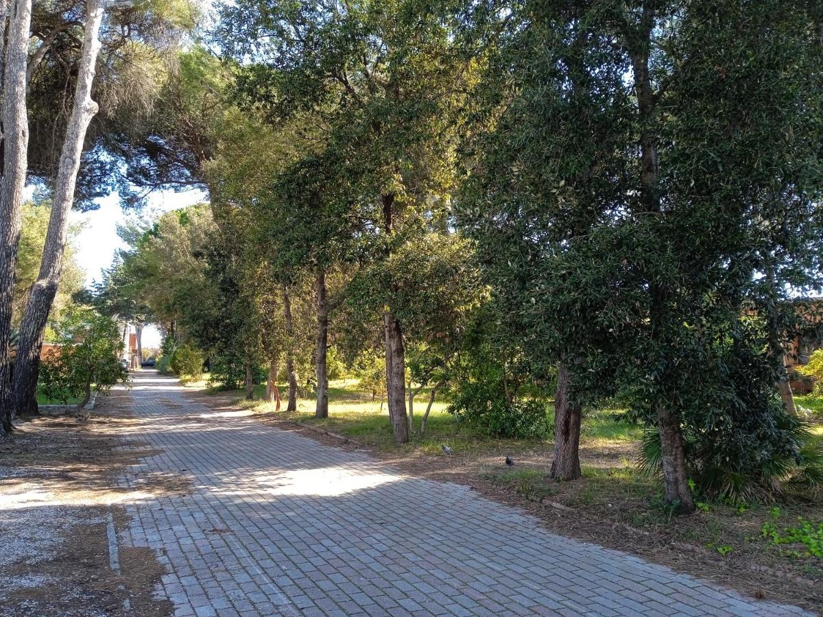 Accesso Diretto Sul Mare Maredilucecala Apartment Calambrone Luaran gambar